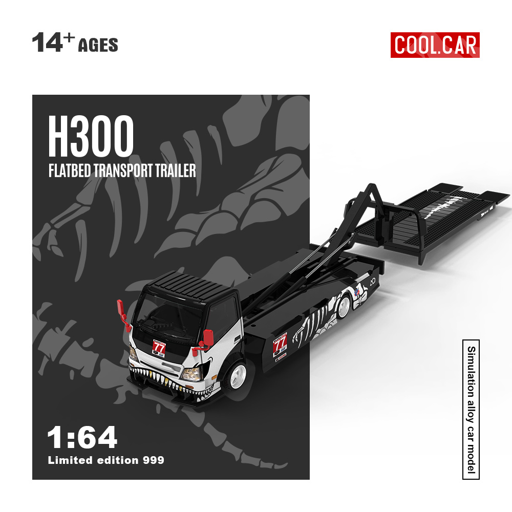 Cool Car 1:64 H300 Flachbett-T – Die Cast Car 1 64 Bewertung und Preis