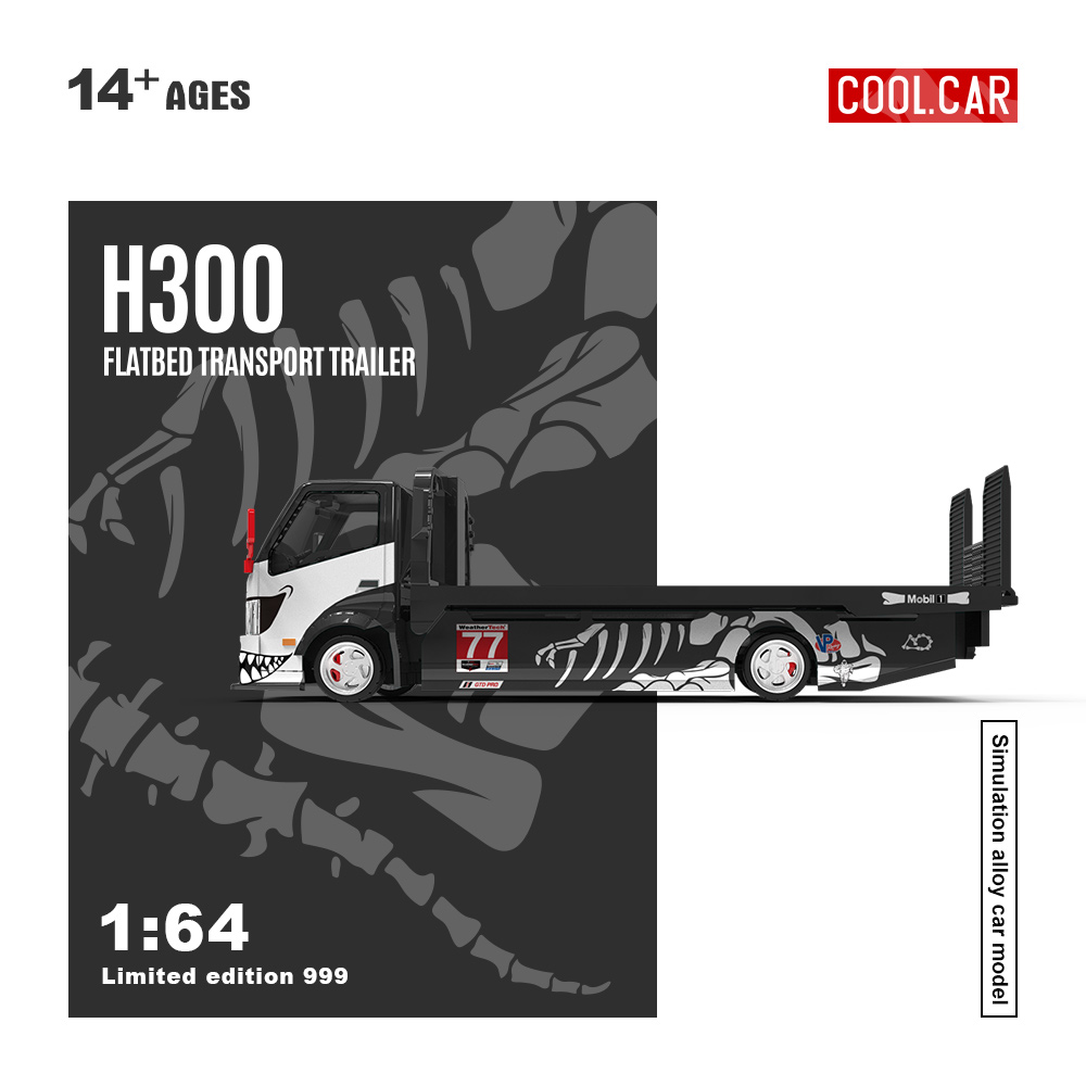 Cool Car 1:64 H300 Flachbett-T – Die Cast Car 1 64 Bewertung und Preis